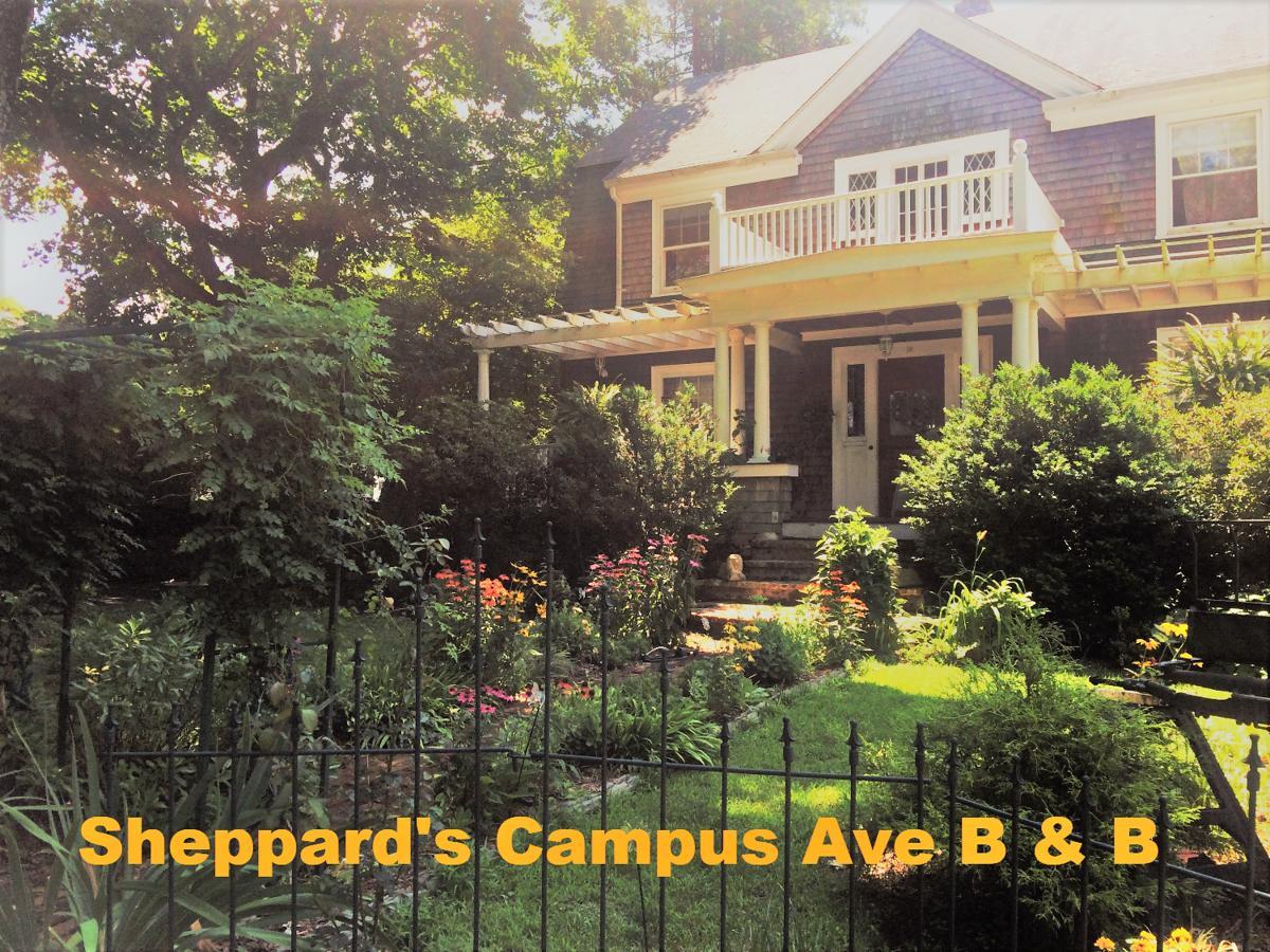 Sheppard'S Campus B&B Kingston Kültér fotó