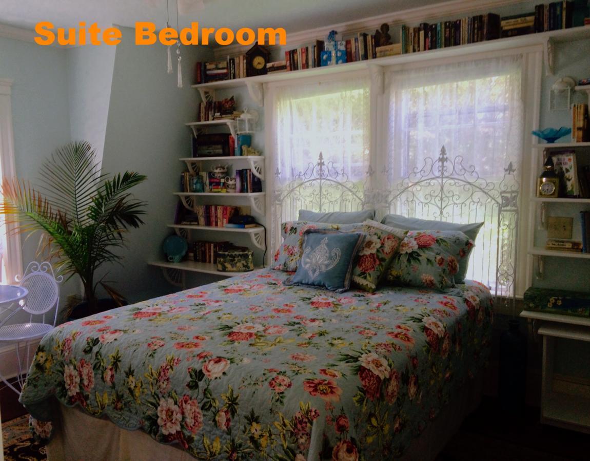 Sheppard'S Campus B&B Kingston Kültér fotó
